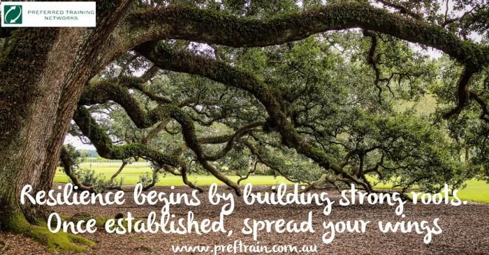 Resilience Begins